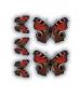Наклейка Бабочки Павлиний глаз (набор 3+2) (24х27см) 